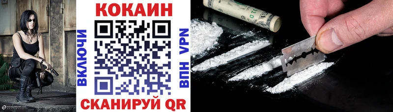 COCAIN Эквадор  blacksprut как зайти  Белёв 