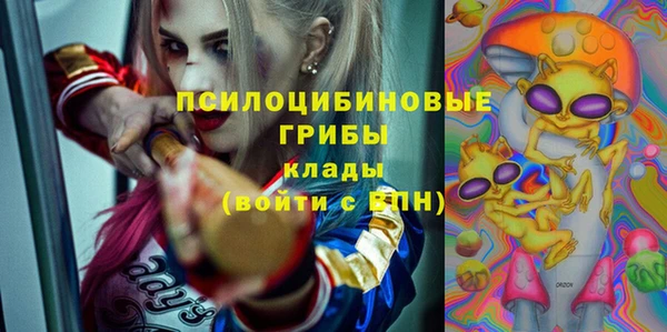 соль ск Балахна