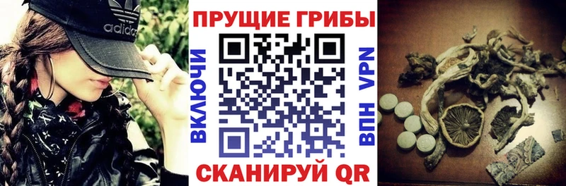 Галлюциногенные грибы Magic Shrooms  магазин продажи наркотиков  дарк нет телеграм  Белёв 